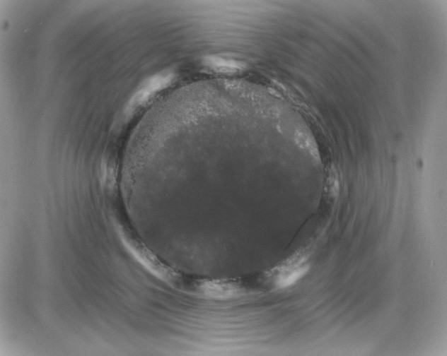 X0000085840568200704132106