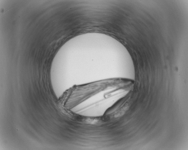 X0000085840570200704132106