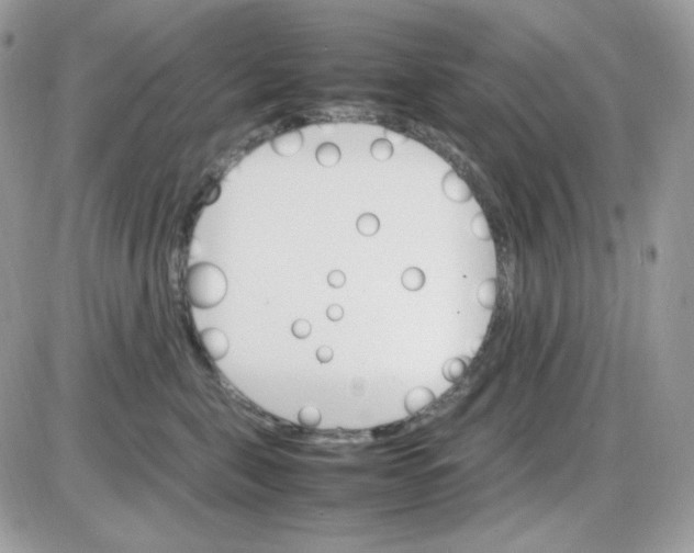 X0000085840571200704132106