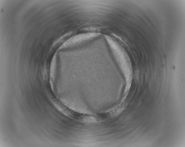 X0000085840572200704132106