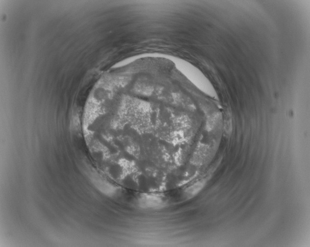 X0000085840573200704132106