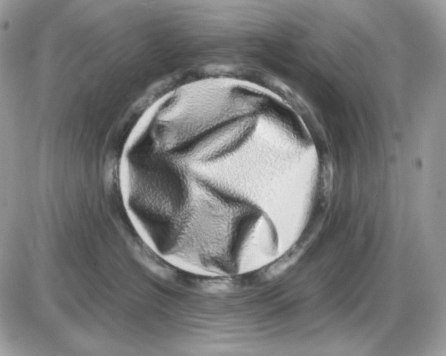 X0000085840574200704132106