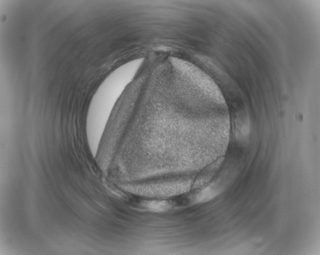 X0000085840575200704132106