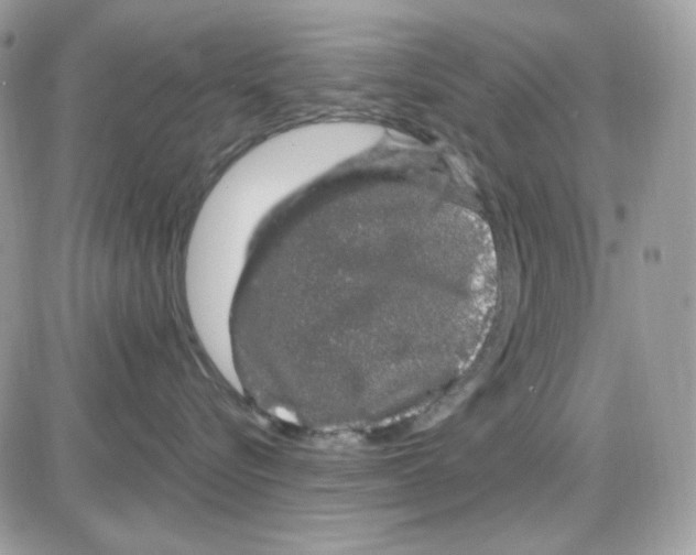 X0000085840576200704132106