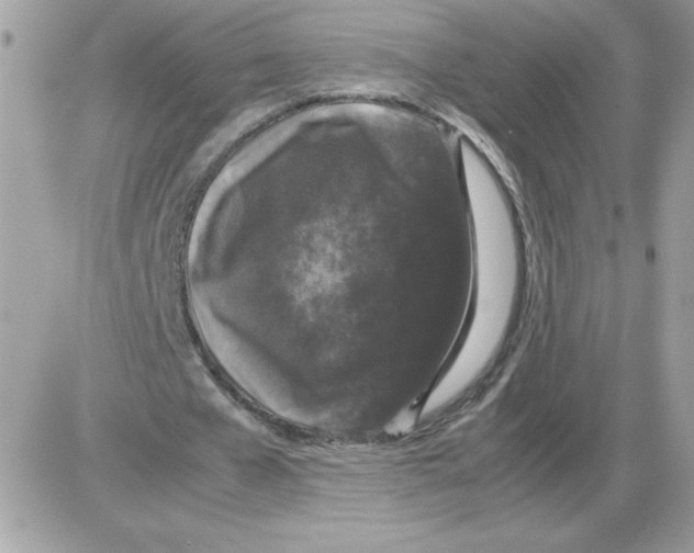 X0000085840577200704132106