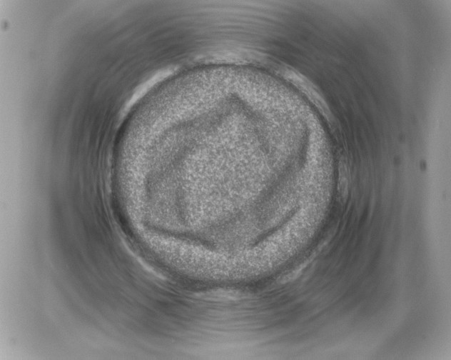 X0000085840578200704132106