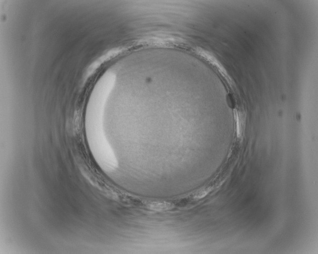 X0000085840579200704132106