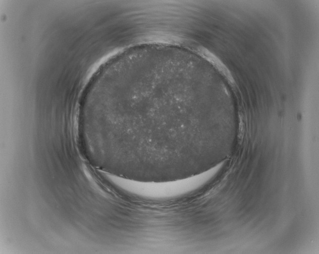 X0000085840580200704132106