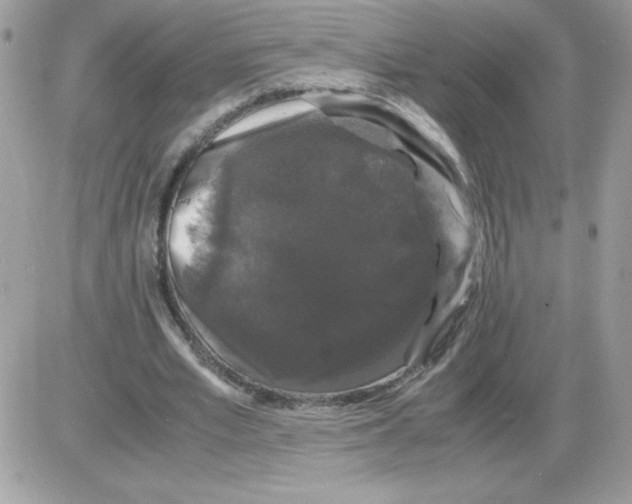 X0000085840581200704132106