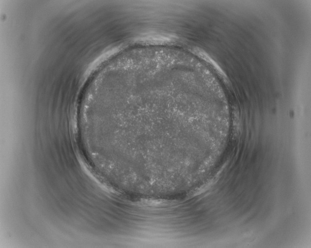 X0000085840582200704132106