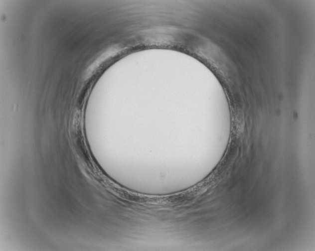 X0000085840583200704132106