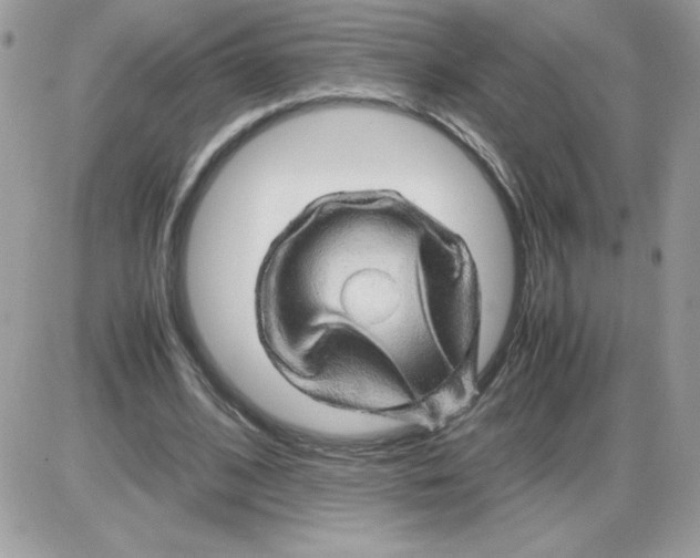 X0000085840584200704132106