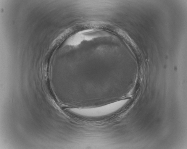 X0000085840585200704132105