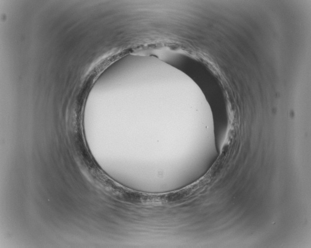 X0000085840587200704132105