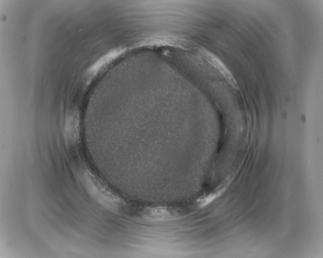 X0000085840588200704132105