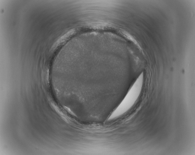 X0000085840589200704132105