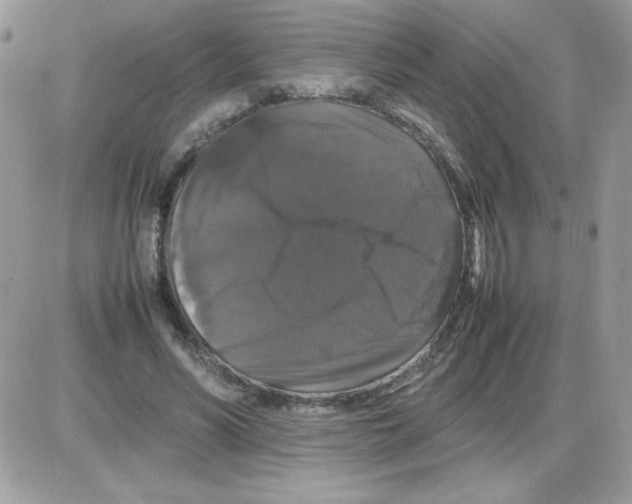 X0000085840590200704132105