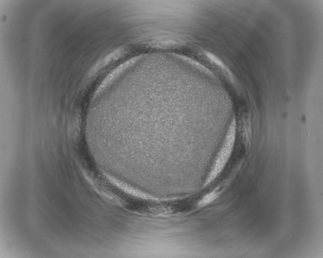 X0000085840591200704132105