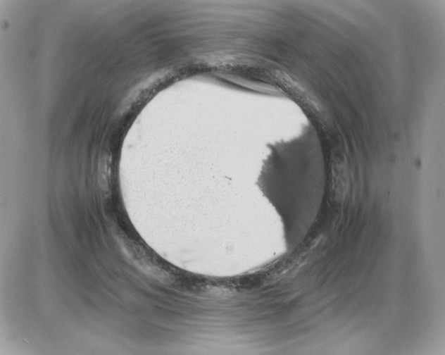 X0000085840592200704132105