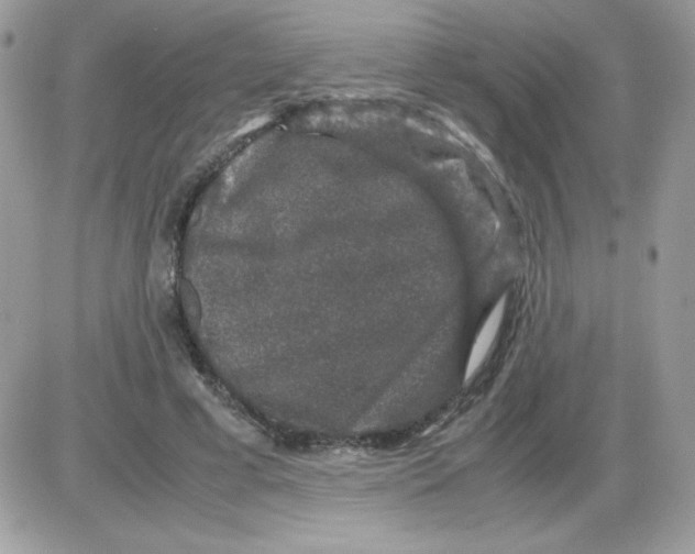 X0000085840593200704132105