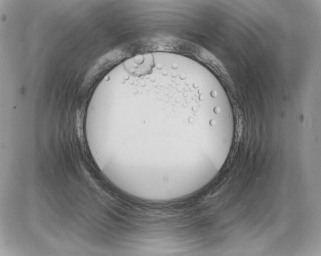 X0000085840594200704132105