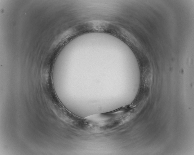 X0000085840595200704132105