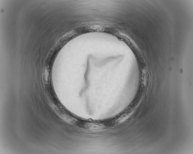 X0000085840597200704132105