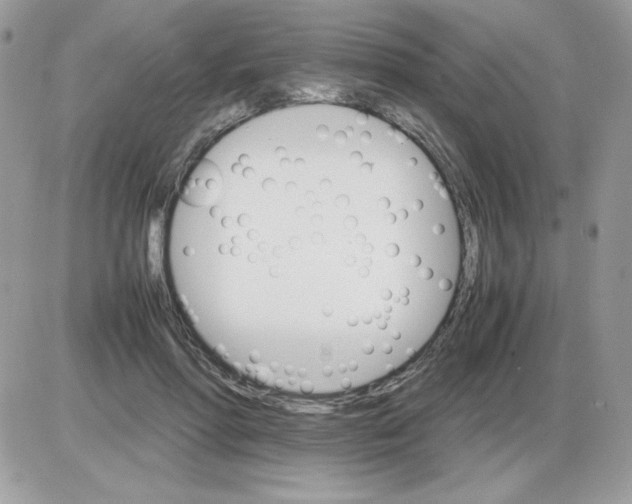 X0000085840598200704132105