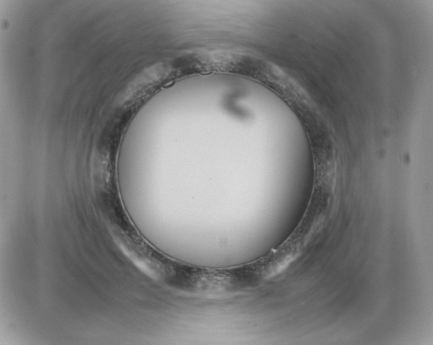 X0000085840599200704132105