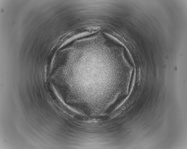 X0000085840600200704132105