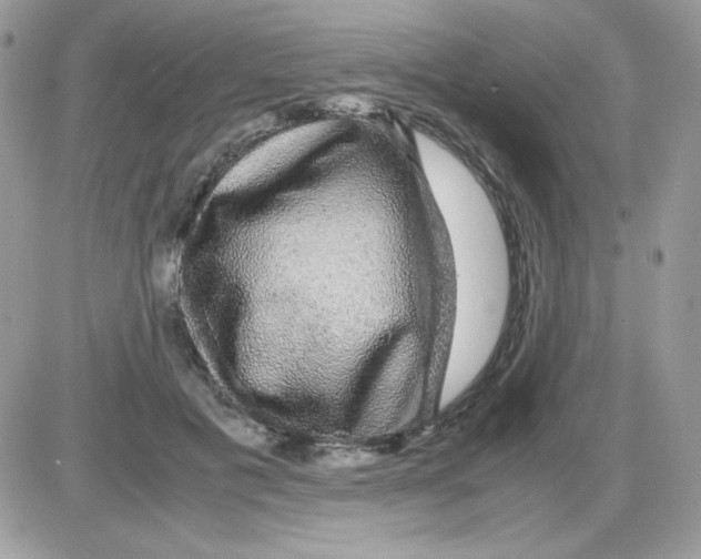 X0000085840601200704132105