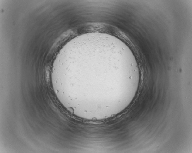 X0000085840602200704132105