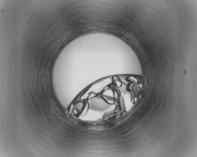 X0000085840604200704132105