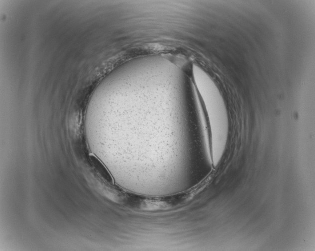 X0000085840605200704132105