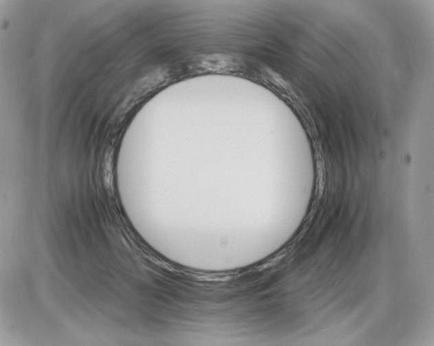 X0000085840606200704132105