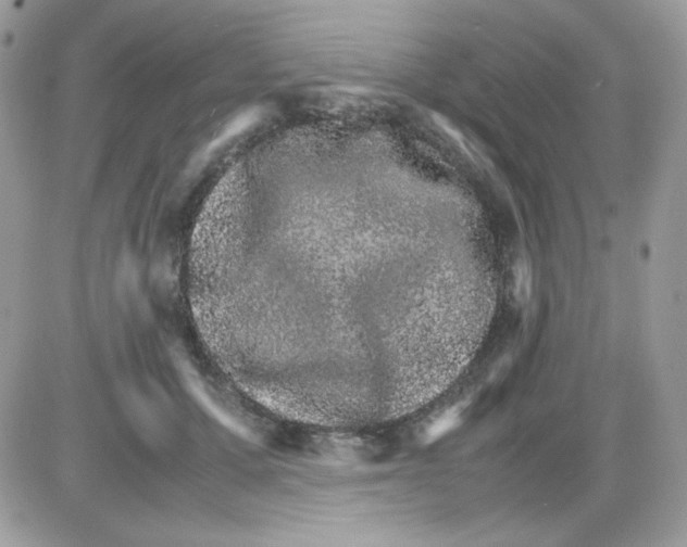 X0000085840607200704132105