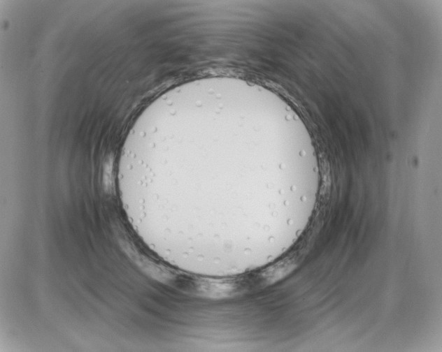 X0000085840610200704132105