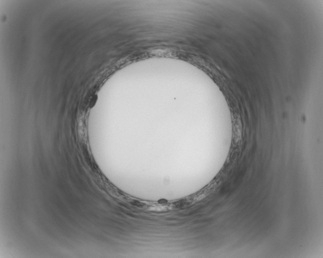 X0000085840611200704132105