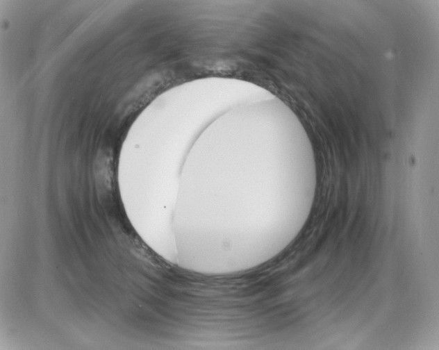 X0000085840612200704132105