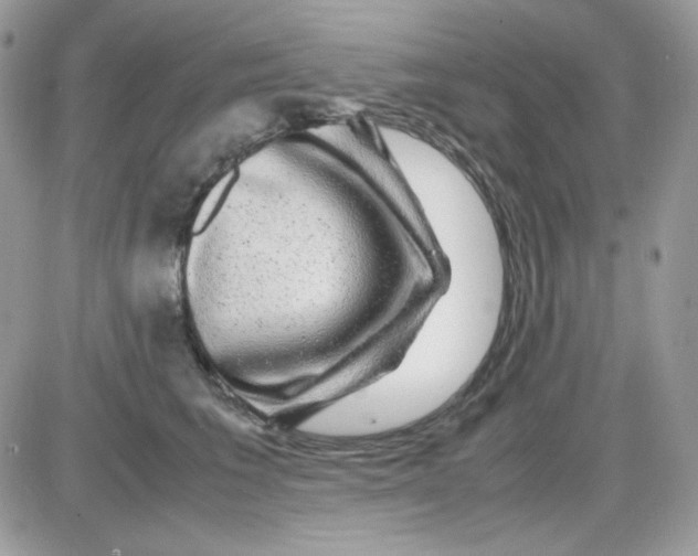 X0000085840613200704132105