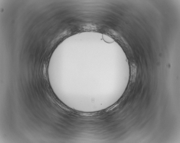 X0000085840614200704132105