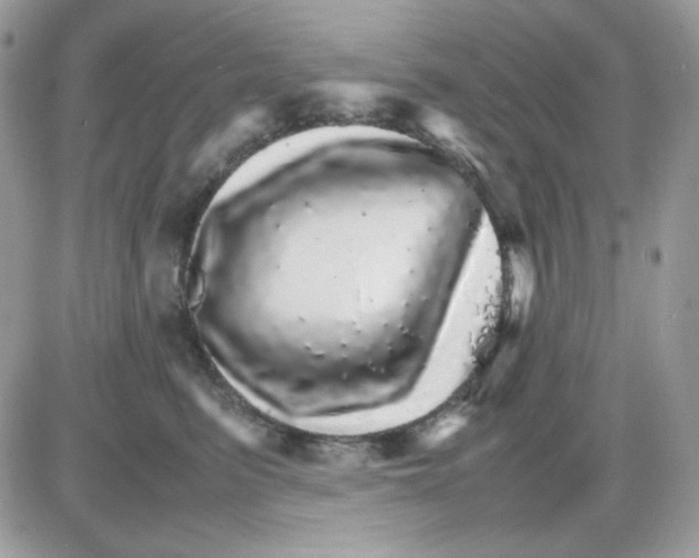 X0000085840615200704132105