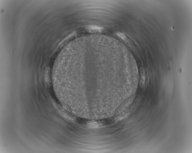 X0000085840616200704132105