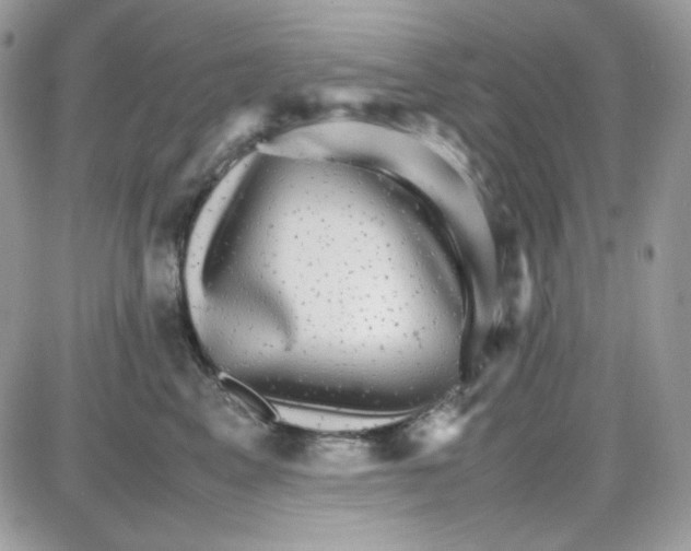 X0000085840617200704132105