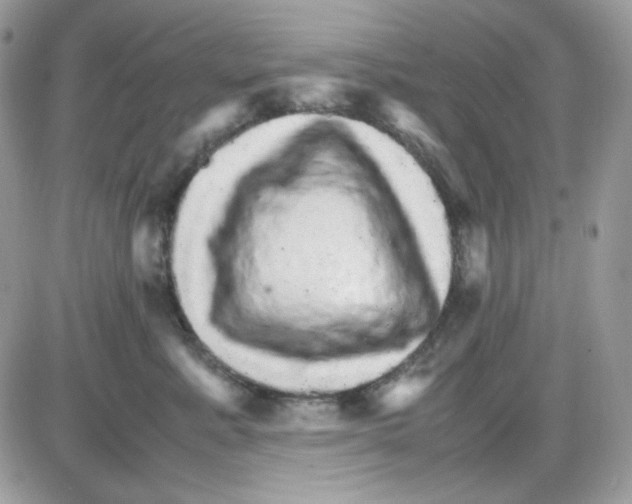 X0000085840619200704132105