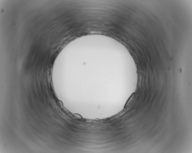 X0000085840620200704132105