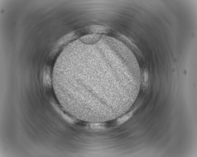 X0000085840622200704132105