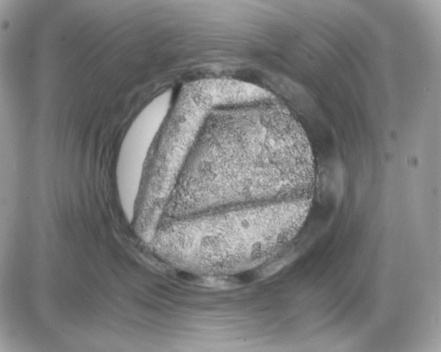 X0000085840623200704132105