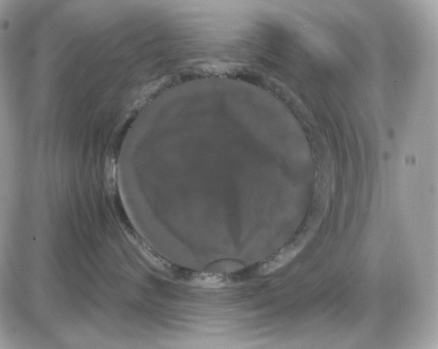 X0000085840624200704132105