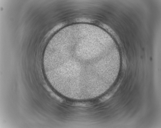 X0000085840625200704132104